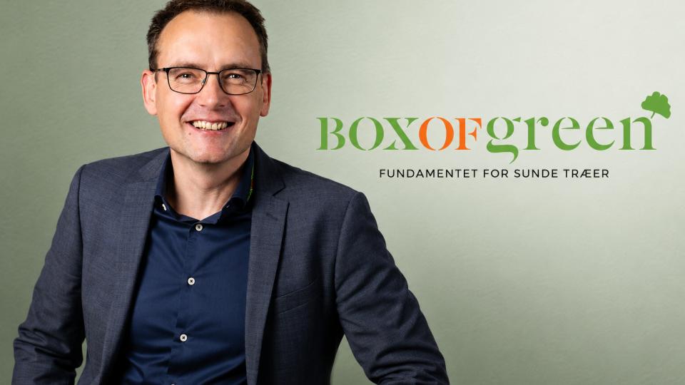 Fra regnvand til rodzone – sådan reducerer BOXofGREEN behovet for vanding