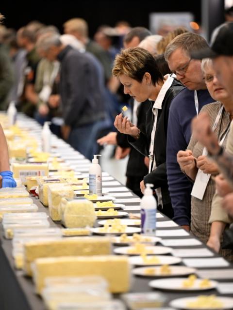 Activities within IFC International Food Contest area