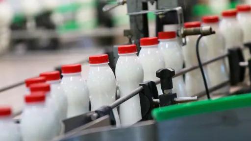 Why Homogenization Matters in Dairy Quality Control