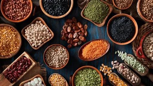 Plant-based and alternative protein processing solutions